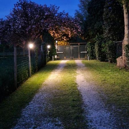 La Casina Apartament Ferrara Kültér fotó